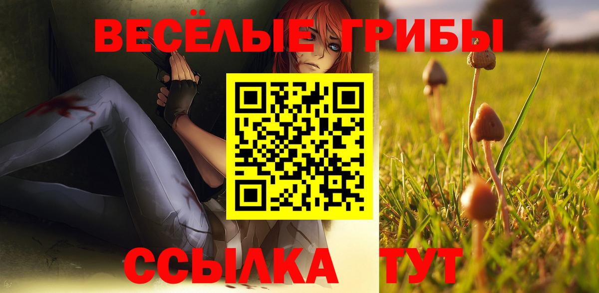 Канаш  Псилоцибиновые грибы Psilocybe  купить наркотик  Вход с VPN  Псилоцибиновые грибы Psilocybine cubensis 